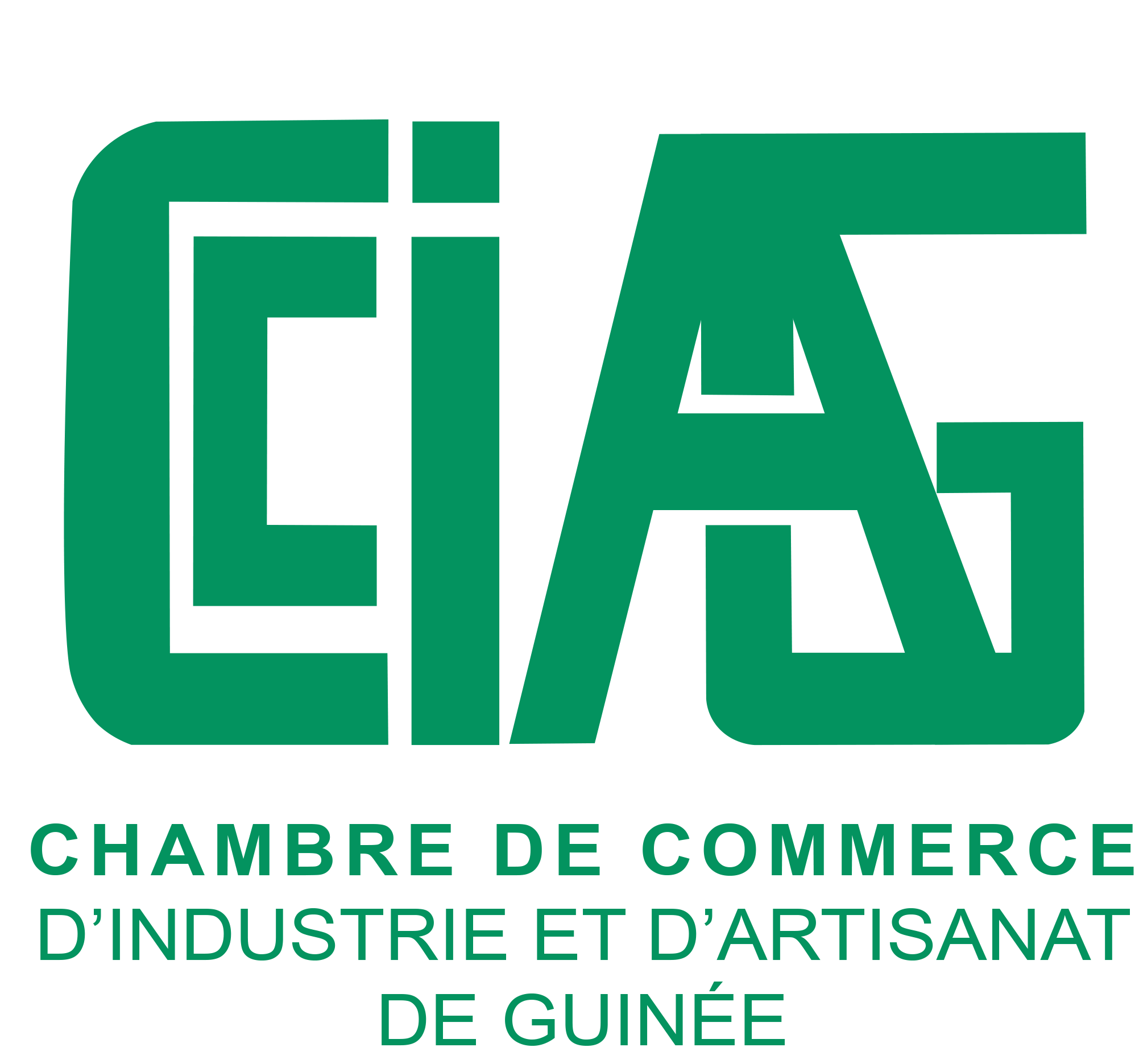 Logo CCIAG
